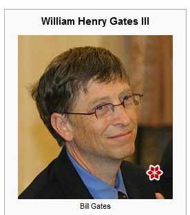 Bill Gates - Polar Rose