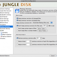 Jungle Disk - indstillinger for tidligere versioner