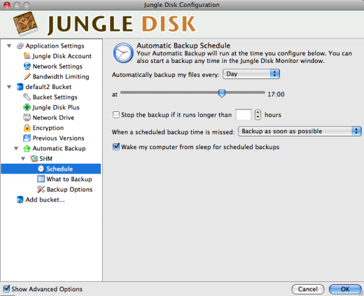 Jungle Disk - Interval for automatisk baclup